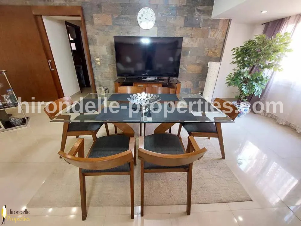 Modern Flat For Rent In Maadi Sarayat