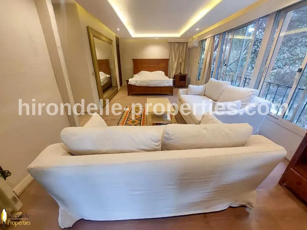 Penthouse With Terrace For Rent In Maadi Degla