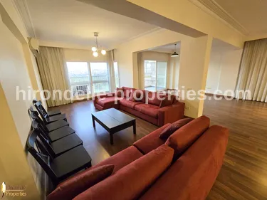 Spacious Flat For Rent In Zamalek