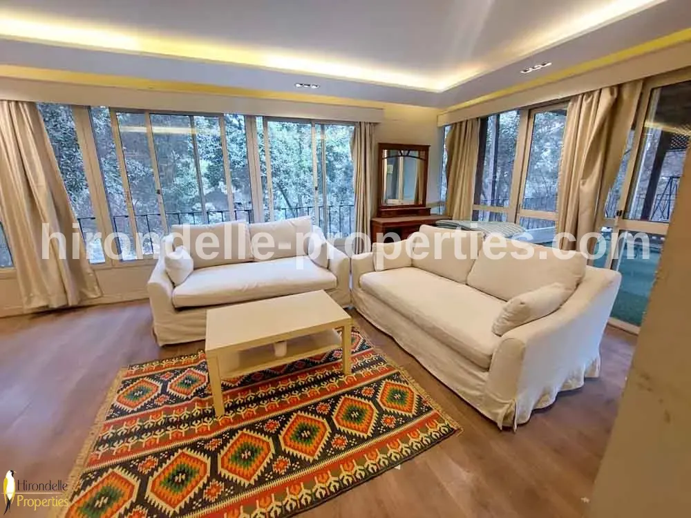 Penthouse With Terrace For Rent In Maadi Degla